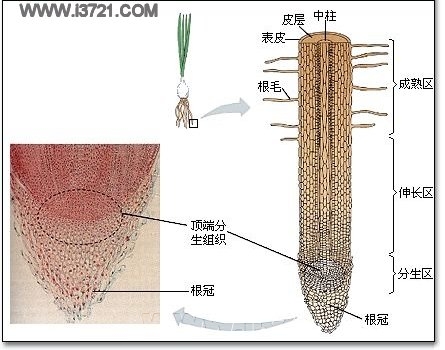 powerpoint presentation